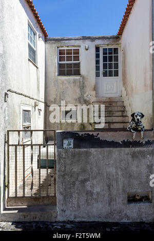 Dalmatiner mit hütet euch vor den Hund anmelden, Vila Nova Corvo Insel Corvo oder Ilha do Corvo, Azoren, Portugal Stockfoto