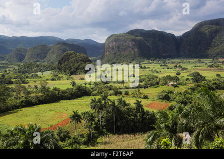 Vinales Tal, Pinar Del Rio, Kuba Stockfoto