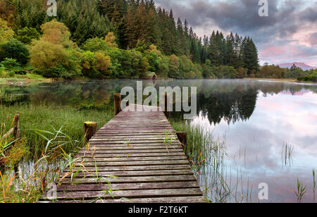 Frühmorgens am Loch Ard im Herbst Trossachs National Park in Schottisches Hochland Stockfoto