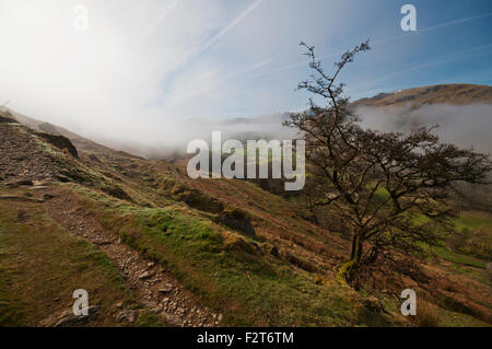 Am frühen Morgen Wolke Umkehrung über das Patterdale-Tal im Lake District, aus dem Weg zu Boredale Hause betrachtet. Stockfoto