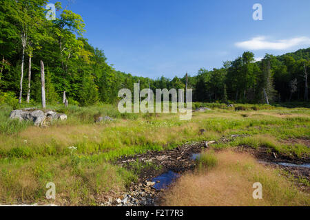 Möglicherweise die Lage des Hines Place an der Sandwich Notch Road in Sandwich, New Hampshire. Stockfoto