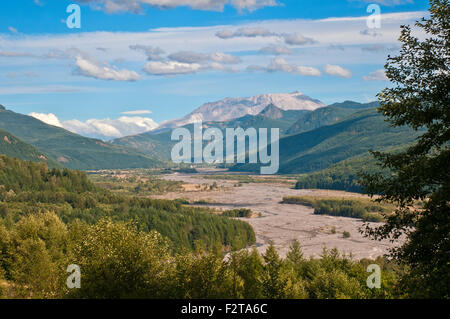 Mount Saint Helens im Sommer Stockfoto