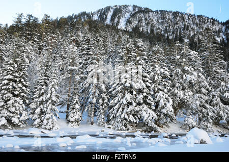 Marcadau Tal im winter Stockfoto