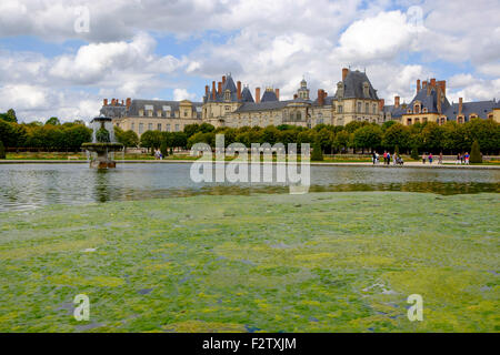 Decke Unkraut in den Teich von Le Grand Parterre - die Gärten des Chateau de Fontainebleau Palast Stockfoto