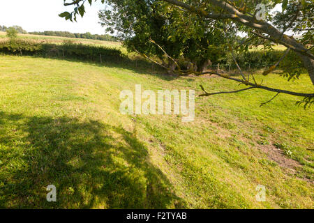 Erdwall Überreste der jungsteinzeitlichen Henge an der Hatfield-Erdarbeiten-Site bei Marden, Wiltshire, England, UK Stockfoto