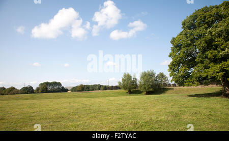 Erdwall Überreste der jungsteinzeitlichen Henge an der Hatfield-Erdarbeiten-Site bei Marden, Wiltshire, England, UK Stockfoto