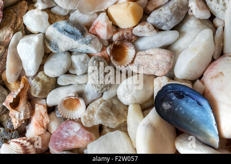 verschiedenen Meer Kieselsteine auf mit Muscheln Stockfoto