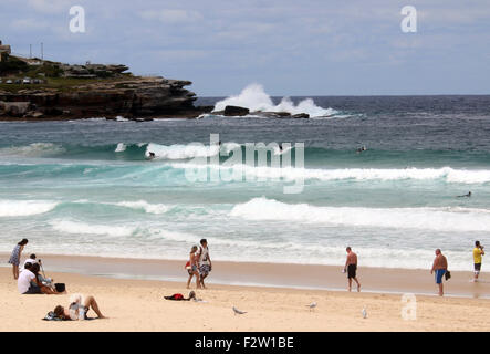 Bondi Beach, Sydney New South Wales Stockfoto