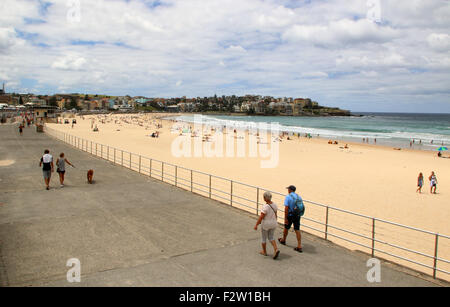 Bondi Beach, Sydney New South Wales Stockfoto