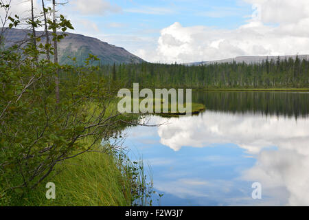 Taiga-See. Blick auf den See auf dem Putorana Plateau, Taimyr, Sibirien, Russland. Stockfoto