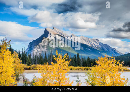 Aspen und Mount Rundle, Banff Nationalpark, Alberta, Kanada Stockfoto