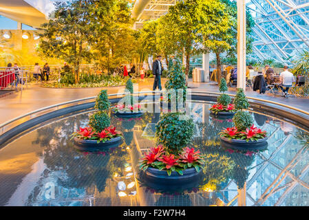 Das Devon Gärten, ganzjährigen indoor Park, Calgary, Alberta, Kanada Stockfoto