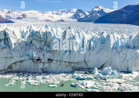 Seitenansicht der Perito Moreno Gletscher in Patagonien, Argentinien Stockfoto