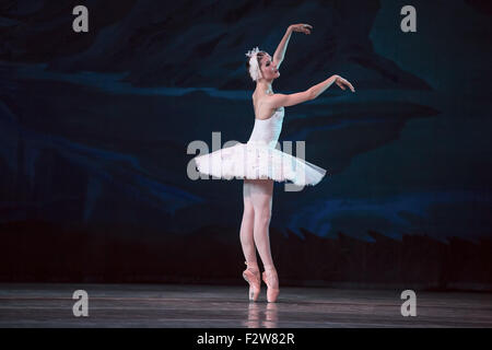 Primaballerina weißen Schwan Stockfoto