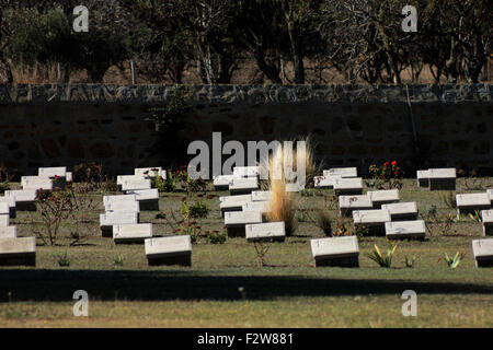 4 und 5 Reihen von Grabsteinen und roten Rosen Pflanzen dazwischen Grundstücke. CWGC Portianou Friedhof. Insel Limnos, Griechenland Stockfoto