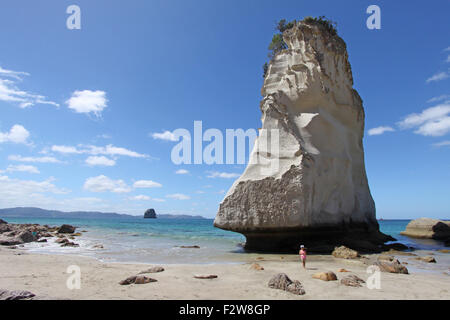 Te Hoho Rock im Meeresschutzgebiet Whanganui-A-Hei (Cathedral Cove), Coromandel Halbinsel, Neuseeland. Stockfoto