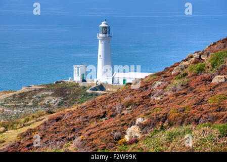 Süd-Stack, Holy Island, Anglesey, Wales, Vereinigtes Königreich Stockfoto