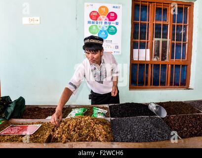 (150924)--TURPAN, 24. September 2015 (Xinhua)--Pataer Keyimu sammelt getrocknete Trauben zu Hause in der Traube Tal von Turpan, Nordwesten Chinas Xinjiang Uygur Autonome Region, 6. September 2015. Pataer führt im Vergleich mit dem Leben seines Großvaters, eine neue Art des Lebens durch nicht nur Anbau und Verkauf von Trauben, aber auch Tourismus und andere Unternehmen dank des Internets. Im Jahr 2010 Pataer ein Aufenthalt mit der Familie Unternehmen gegründet und verkauft lokale Produkte wie getrocknete Trauben, um Touristen anzuziehen. In diesem Jahr, schätzt er, dass die jährlichen Ertrag 150.000 RMB Yuan (etwa 23.505 US-Dollar) erreichen würde. Als das 3G Service pro Stockfoto