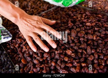 (150924)--TURPAN, 24. September 2015 (Xinhua)--Pataer Keyimu sammelt getrocknete Trauben zu Hause in der Traube Tal von Turpan, Nordwesten Chinas Xinjiang Uygur Autonome Region, 6. September 2015. Pataer führt im Vergleich mit dem Leben seines Großvaters, eine neue Art des Lebens durch nicht nur Anbau und Verkauf von Trauben, aber auch Tourismus und andere Unternehmen dank des Internets. Im Jahr 2010 Pataer ein Aufenthalt mit der Familie Unternehmen gegründet und verkauft lokale Produkte wie getrocknete Trauben, um Touristen anzuziehen. In diesem Jahr, schätzt er, dass die jährlichen Ertrag 150.000 RMB Yuan (etwa 23.505 US-Dollar) erreichen würde. Als das 3G Service pro Stockfoto