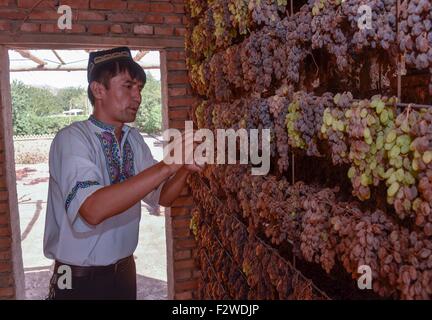 (150924)--TURPAN, 24. September 2015 (Xinhua)--Pataer Keyimu prüft die trockenen Trauben zu Hause in der Traube Tal von Turpan, Nordwesten Chinas Xinjiang Uygur Autonome Region, 6. September 2015. Pataer führt im Vergleich mit dem Leben seines Großvaters, eine neue Art des Lebens durch nicht nur Anbau und Verkauf von Trauben, aber auch Tourismus und andere Unternehmen dank des Internets. Im Jahr 2010 Pataer ein Aufenthalt mit der Familie Unternehmen gegründet und verkauft lokale Produkte wie getrocknete Trauben, um Touristen anzuziehen. In diesem Jahr, schätzt er, dass die jährlichen Ertrag 150.000 RMB Yuan (etwa 23.505 US-Dollar) erreichen würde. Als das 3G Service pro Stockfoto