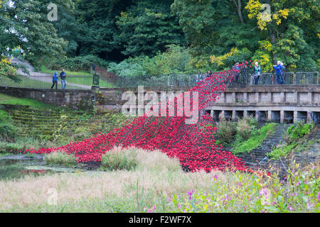 Rote Mohnblumen "Welle" Ausstellung der Tower of London Mohnblumen in Yorkshire Sculpture Park. Blut gefegt, Länder und Meere rot Stockfoto