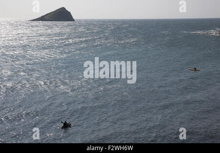 der große Stein Felsen vor der Küste von Wembury in Süd Devon mew Stockfoto