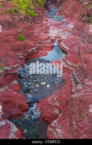 Tonschiefer mineralischen Sedimentschichten in Lost Horse Creek, Red Rock Canyon, Waterton Lakes National Park, Alberta, Kanada Stockfoto