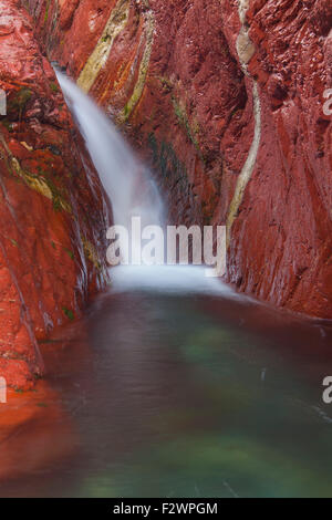 Tonschiefer mineralischen Sedimentschichten in Lost Horse Creek, Red Rock Canyon, Waterton Lakes National Park, Alberta, Kanada Stockfoto