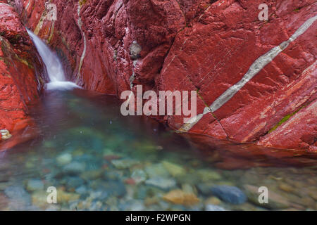 Tonschiefer mineralischen Sedimentschichten in Lost Horse Creek, Red Rock Canyon, Waterton Lakes National Park, Alberta, Kanada Stockfoto