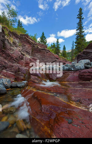 Tonschiefer mineralischen Sedimentschichten in Lost Horse Creek, Red Rock Canyon, Waterton Lakes National Park, Alberta, Kanada Stockfoto