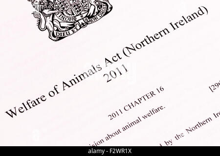 Wohlergehen der Tiere Act (Northern Ireland) Stockfoto