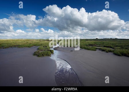 Küstennahe Sümpfen in der Nähe von Steart Punkt. Steart Sümpfe. Somerset. VEREINIGTES KÖNIGREICH. Stockfoto