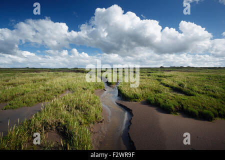 Küstennahe Sümpfen in der Nähe von Steart Punkt. Steart Sümpfe. Somerset. VEREINIGTES KÖNIGREICH. Stockfoto