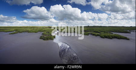 Küstennahe Sümpfen in der Nähe von Steart Punkt. Steart Sümpfe. Somerset. VEREINIGTES KÖNIGREICH. Stockfoto