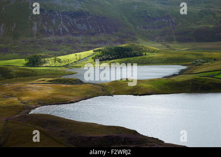 Cregennan Seen. Snowdonia-Nationalpark. Gwynedd. Wales. VEREINIGTES KÖNIGREICH. Stockfoto