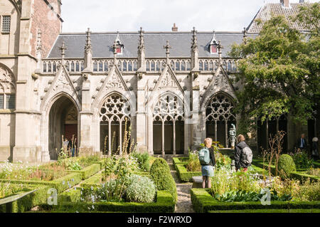 Garten im Innenhof des St. Martins Dom, Utrecht, Niederlande Stockfoto