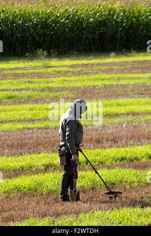 Lathom, Lancashire, UK. 24. September 2015.  Sondengängern Scannen ein kürzlich geernteten Feld auf der Suche nach verborgenen schätzen.  Viele Landwirte begrüßen die Schatzsucher, solange es nach Erntezeit ist. Äckern in der Regel bieten die größten Aussichten auf gute Funde machen und sind die beliebtesten Standorte für alle Schatzsucher. Dies ist vor allem, weil sie ständig umgedreht wird sind Neufunde an die Oberfläche zu bringen.  (Bilder von öffentlichen Fußweg). Bildnachweis: Cernan Elias/Alamy Live-Nachrichten Stockfoto