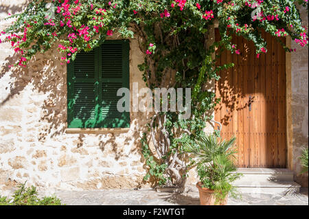 Ein traditionelles Haus in Altstadt Alcudia rosa Bougainvillea in der Mittagssonne Schatten Stockfoto