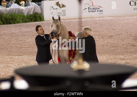 New York, USA. 23. Sep, 2015. New York, NY, Central Park 23. September 2015 Credit: StuMedia/Alamy Live-Nachrichten Stockfoto