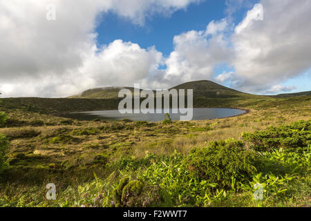 Caldeira Rasa, Lago Rasa, Insel Flores, Azoren Stockfoto