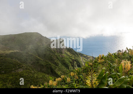 Rocha Dos Bordões, ist eine geologische Formation zeichnet sich durch riesige Säulen aus Basalt, Las Flores Island Azoren Stockfoto