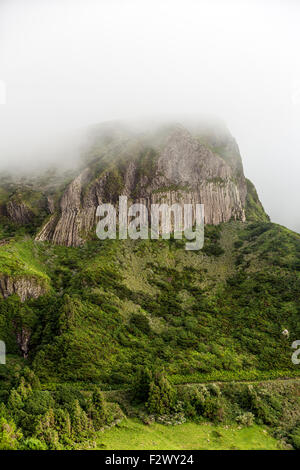 Misty Rocha Dos Bordões, ist eine geologische Formation zeichnet sich durch riesige Säulen aus Basalt, Las Flores Island Azoren Stockfoto