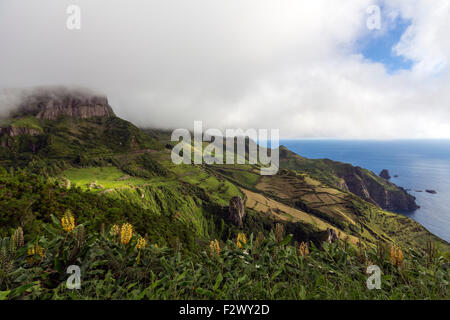 Rocha Dos Bordões, ist eine geologische Formation zeichnet sich durch riesige Säulen aus Basalt, Las Flores Island Azoren Stockfoto