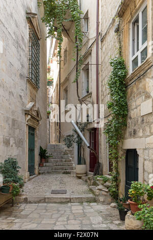 Schmal und leere Gasse, Topfpflanzen und Wein an der Wand im Old Town in Dubrovnik, Kroatien. Stockfoto