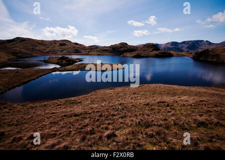 Winkel-Tarn in den Lake District National Park. Stockfoto