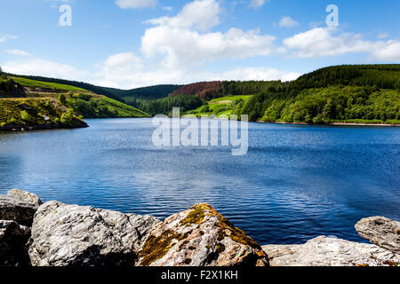 Llyn Brianne Reservoir Mid Wales Stockfoto