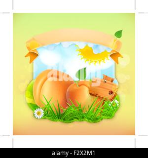 Frisches Obst beschriften Aprikose, Vektor Illustration Hintergrund dafür, dass Design der Saft-Satz Marmeladenglas etc. Stock Vektor