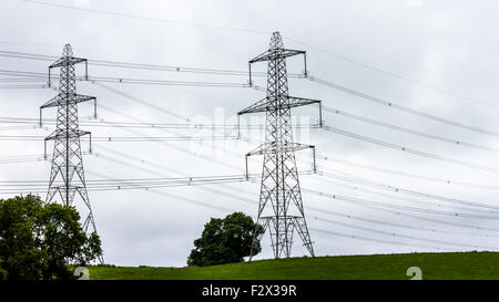 Strommasten entlang der A477 in Wales Stockfoto