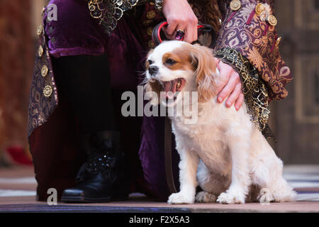 London, UK. 23.09.2015. David Sturzaker als König Charles II mit Monni der Hund. Fototermin für die Play/Komödie Nell Gwynn von Jessica Swale im Globe Theatre. Leistungen unter der Regie von Christopher Luscombe vom 19. September bis 17. Oktober 2015 laufen. Gugu Mbatha-Raw (Nell Gwynn), Greg Haiste (Edward Kynaston), Jay Taylor (Charles Hart) und David Sturzaker (König Charles II). Stockfoto