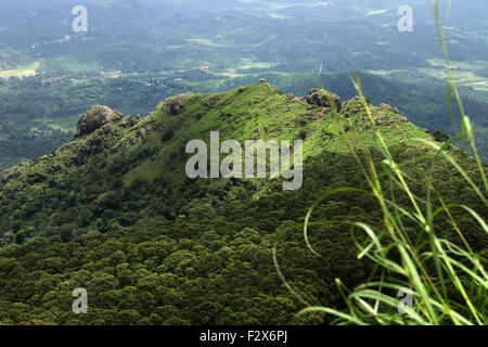 Green Hill Morgen Stockfoto